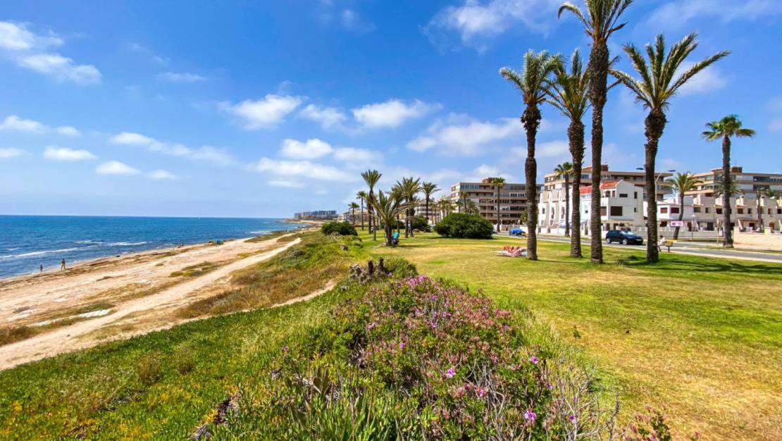 Apartamento Villa Amalia Torrevieja Exterior foto